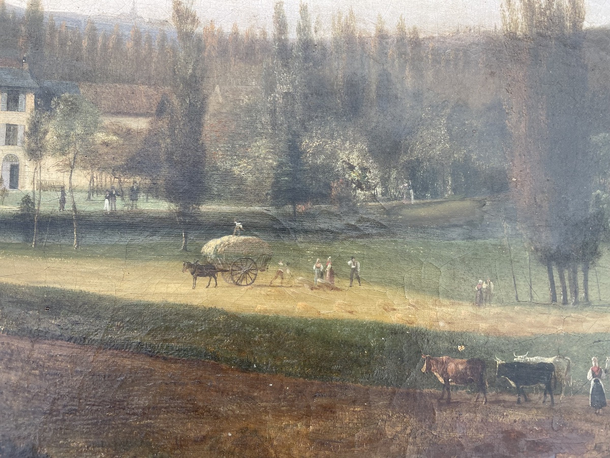 La campagne animeé de Ciceri -photo-5