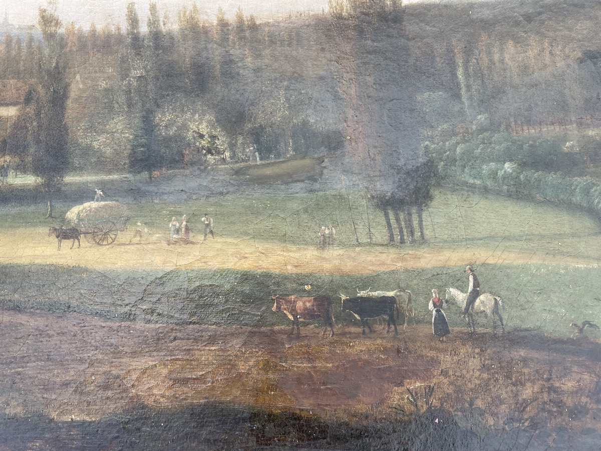 La campagne animeé de Ciceri 