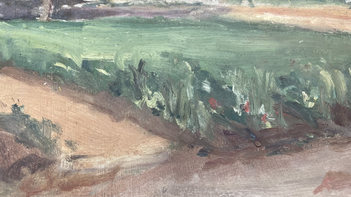 Countryside Landscape -photo-6