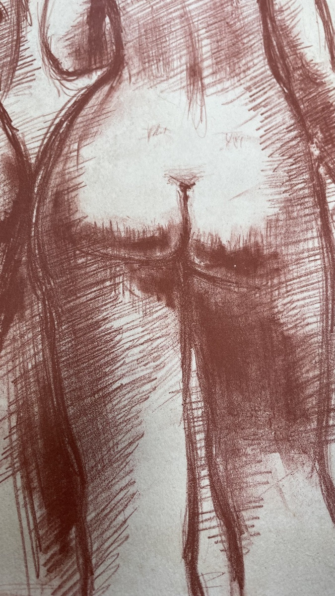 Lithographie nues féminins de Volti -photo-4