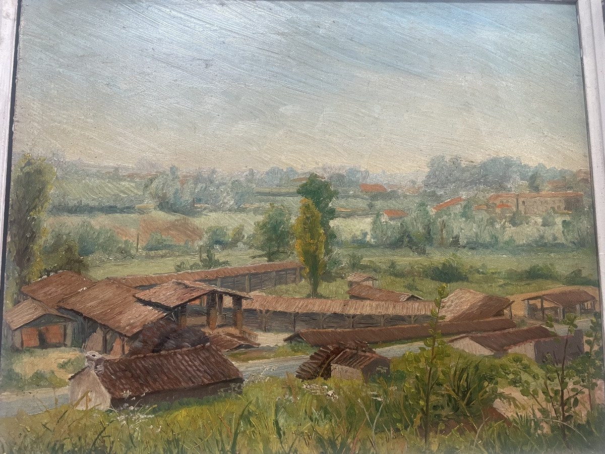 Landscape Of The Tuilerie By C.vagnat -photo-2