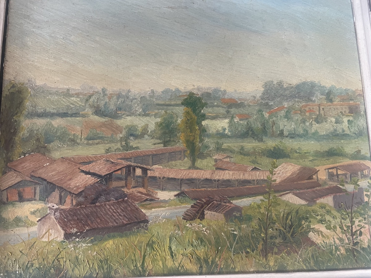 Landscape Of The Tuilerie By C.vagnat -photo-5