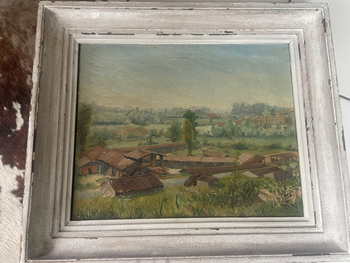 Landscape Of The Tuilerie By C.vagnat -photo-6