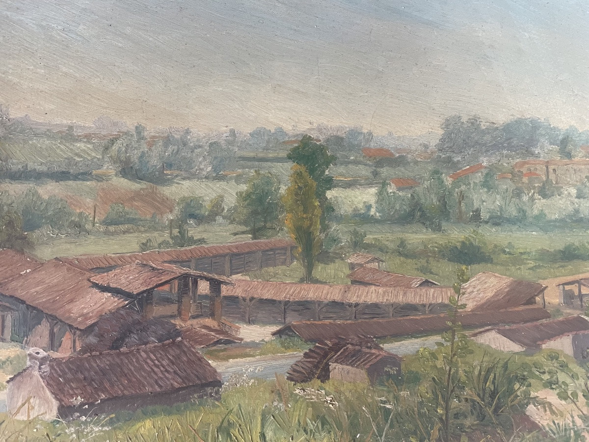 Landscape Of The Tuilerie By C.vagnat -photo-7