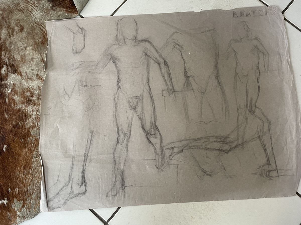 Anatomy Study Drawings For Men -photo-2