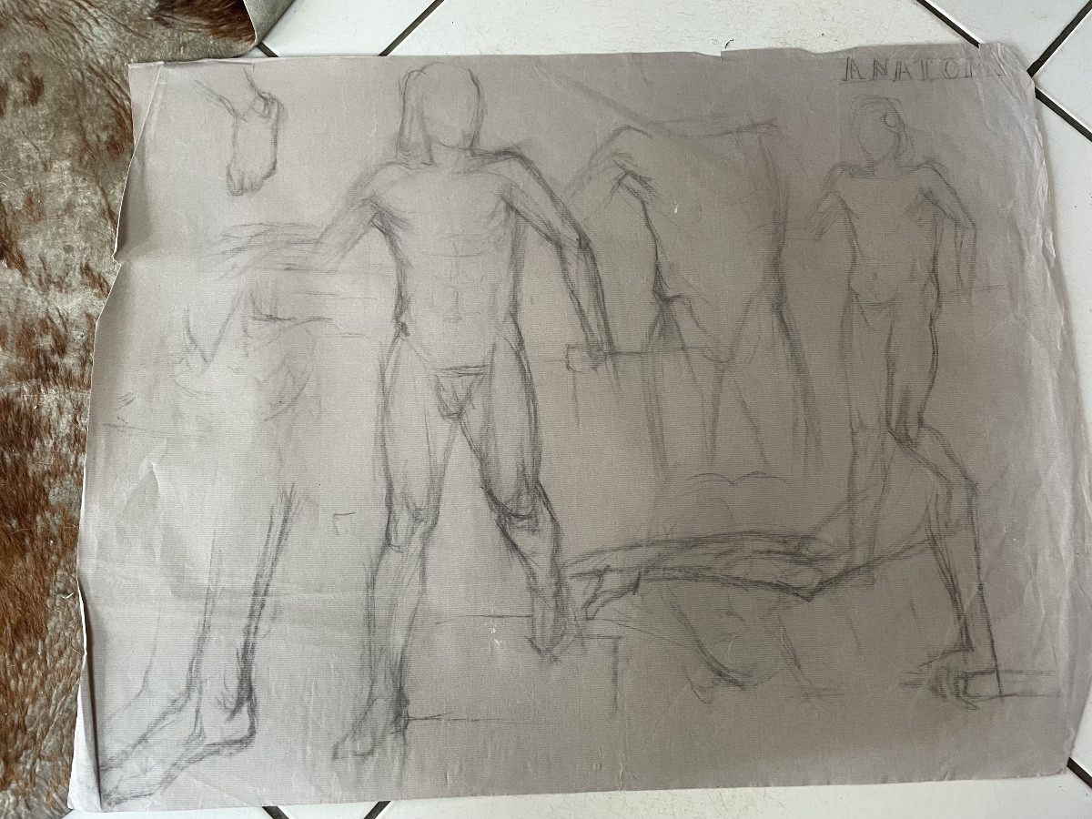 Anatomy Study Drawings For Men -photo-5
