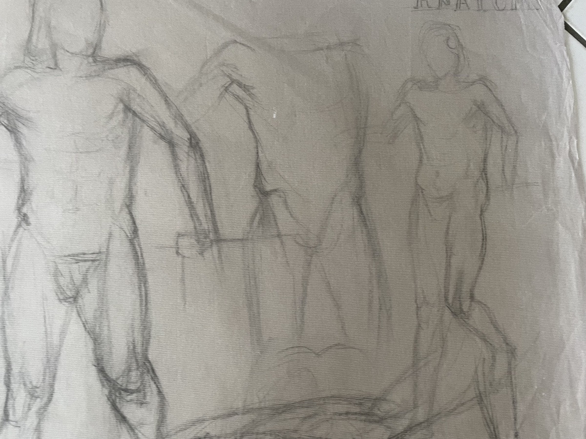 Anatomy Study Drawings For Men -photo-7