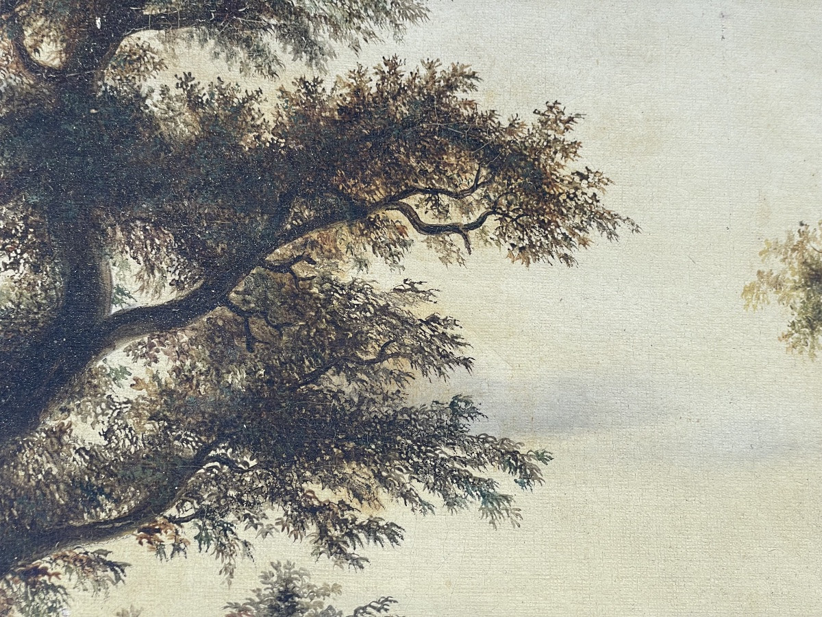 The Collection Of The Nets -photo-5