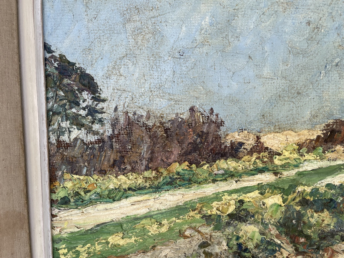 Seaside Landscape -photo-4