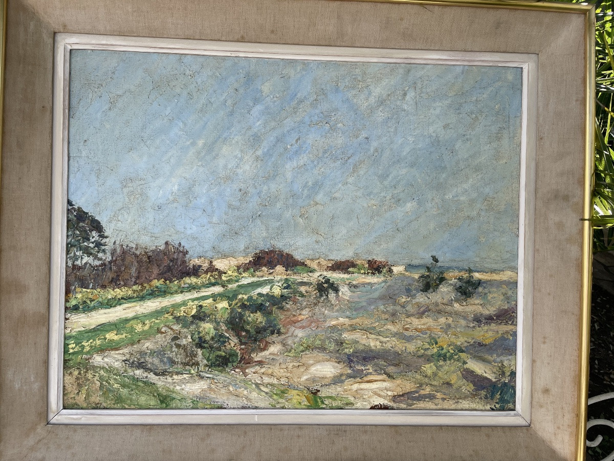 Seaside Landscape -photo-1