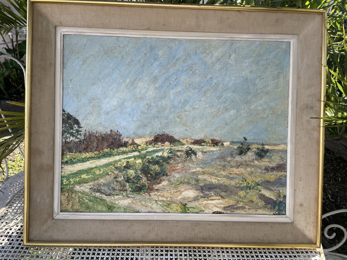 Seaside Landscape -photo-3