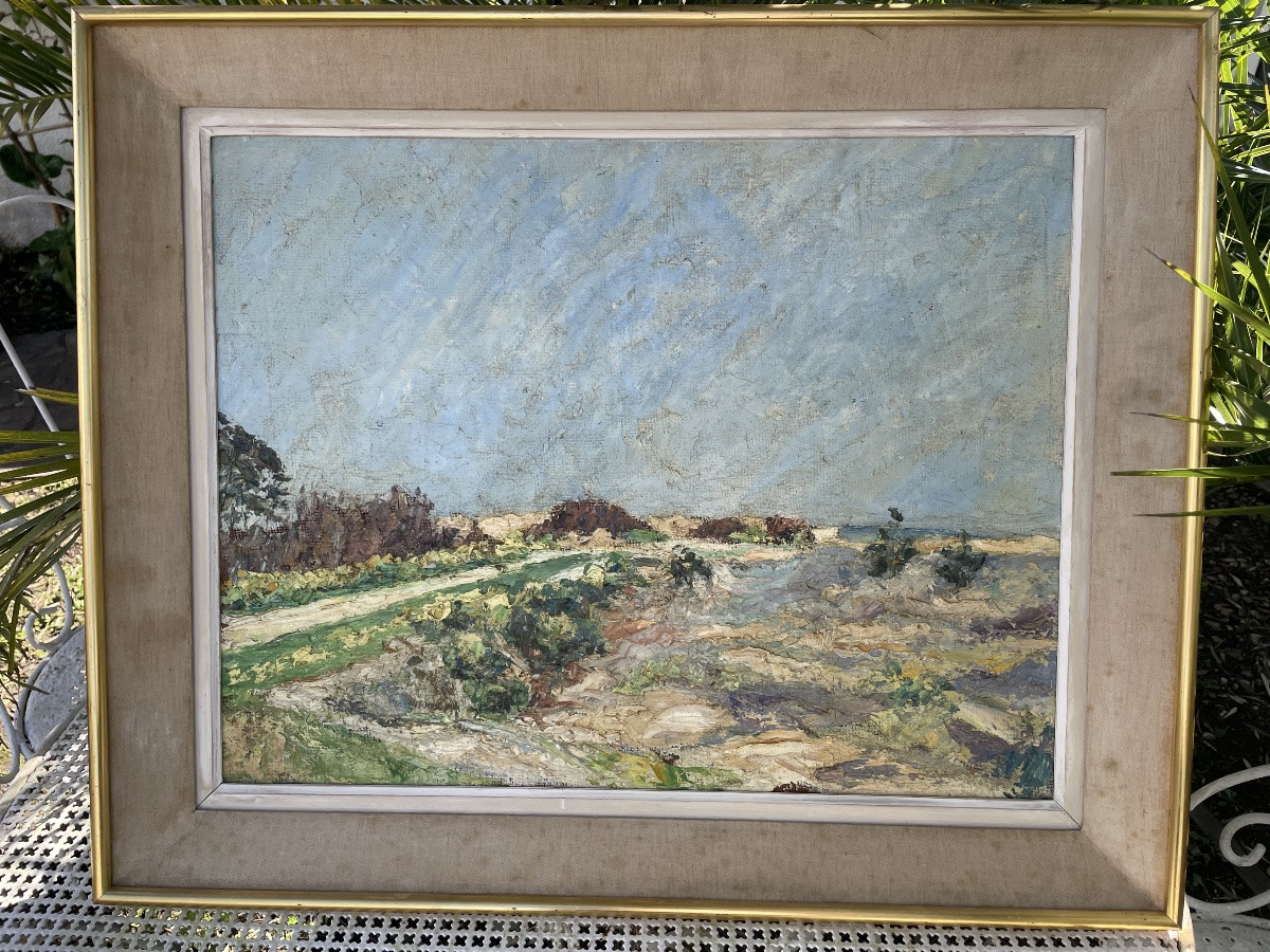 Seaside Landscape -photo-5