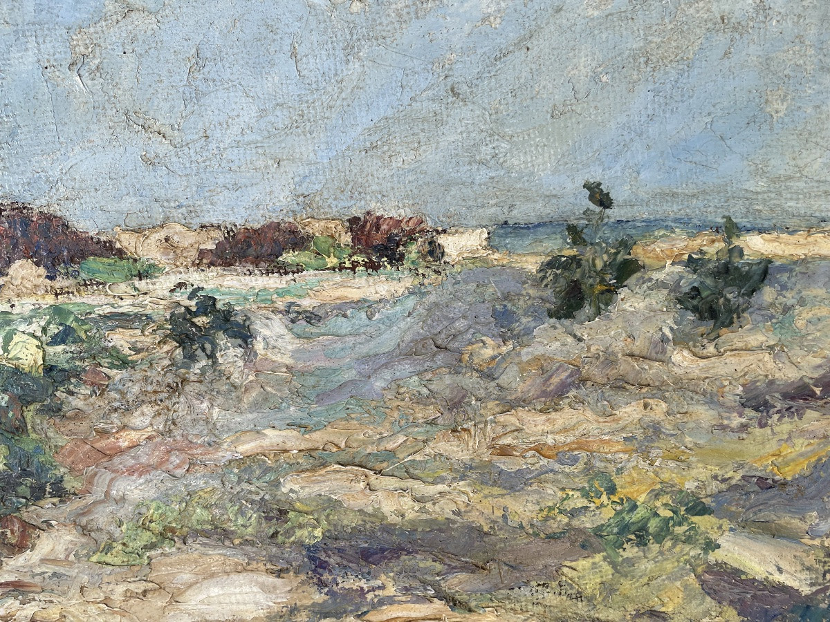 Seaside Landscape -photo-6