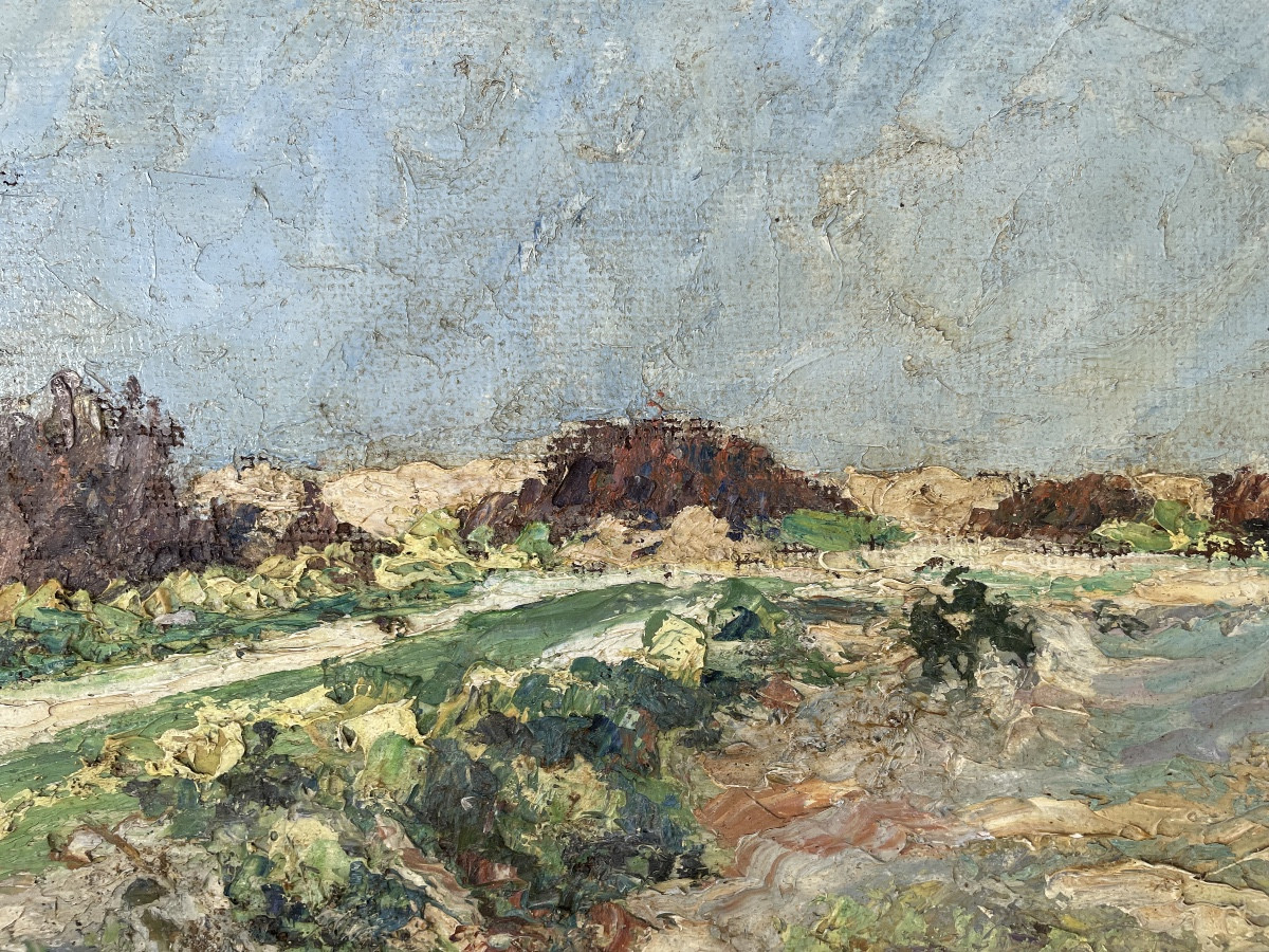 Seaside Landscape 