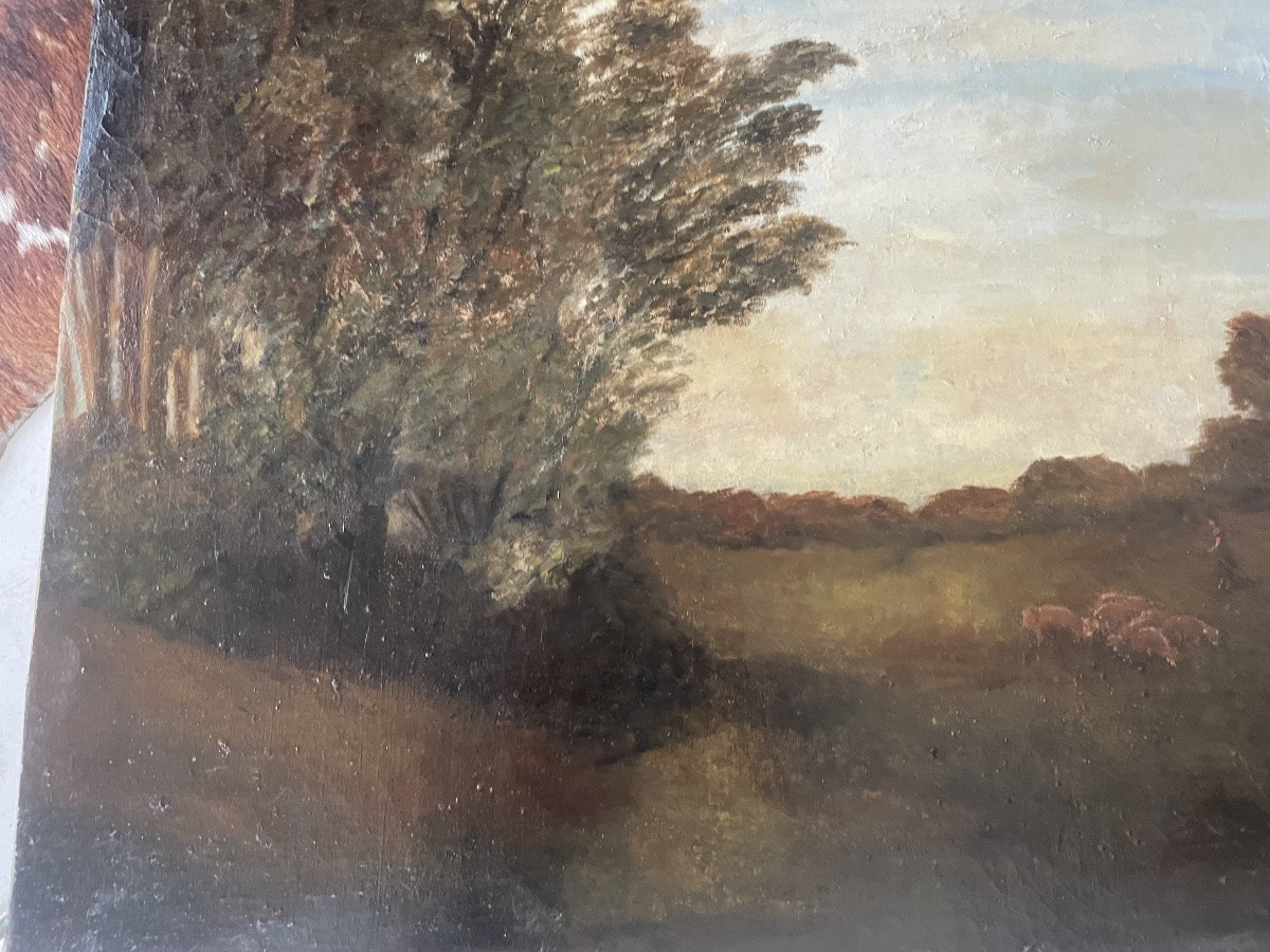 The Pig Girl -photo-7