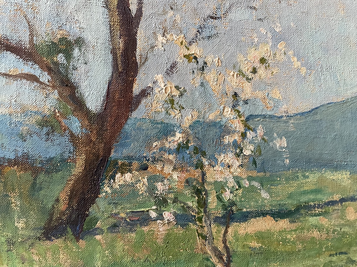 Paysage provençal au printemps de Charlopeau -photo-3