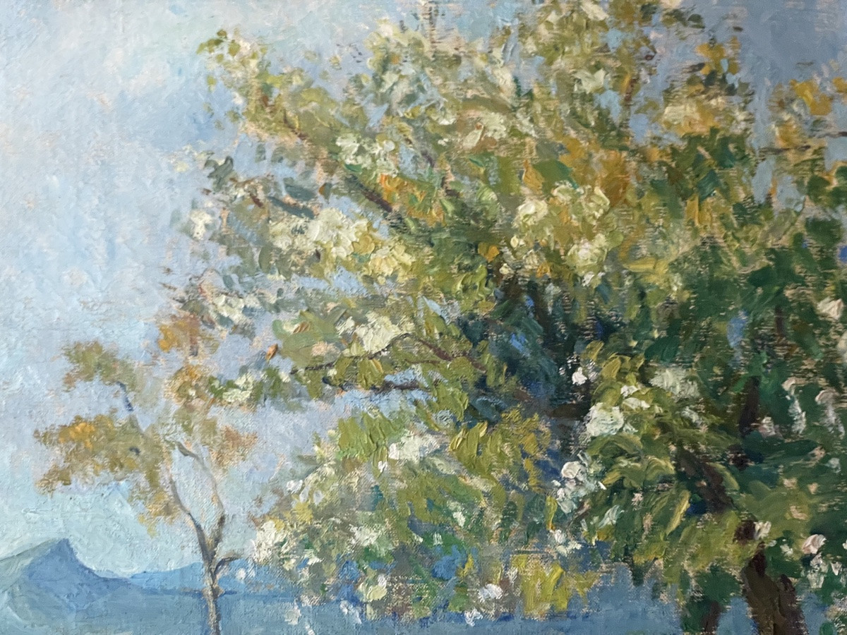 Paysage provençal au printemps de Charlopeau -photo-4