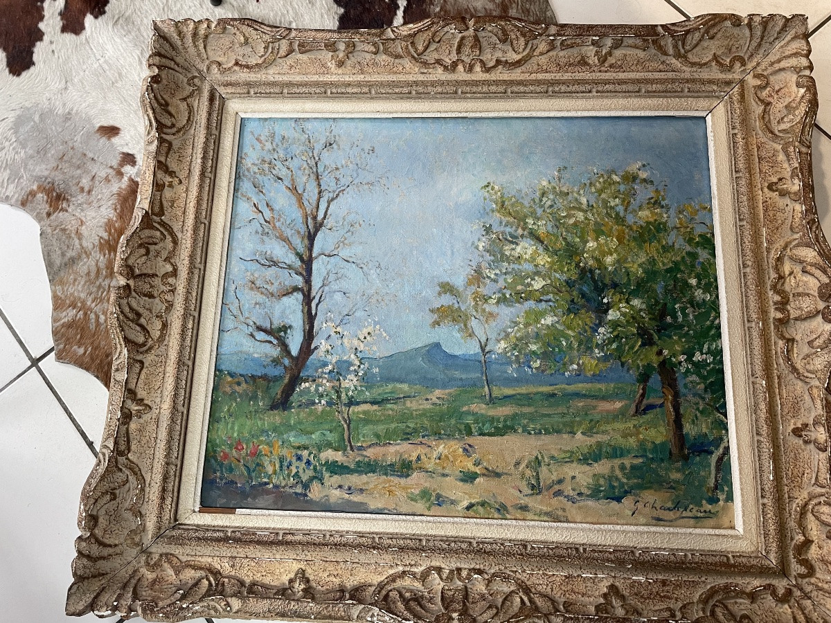 Paysage provençal au printemps de Charlopeau -photo-1