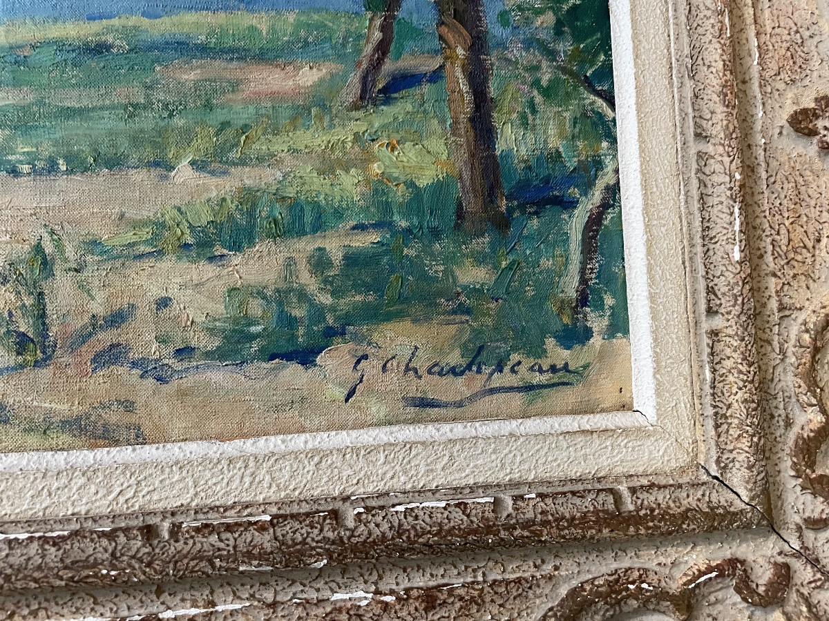 Paysage provençal au printemps de Charlopeau -photo-3