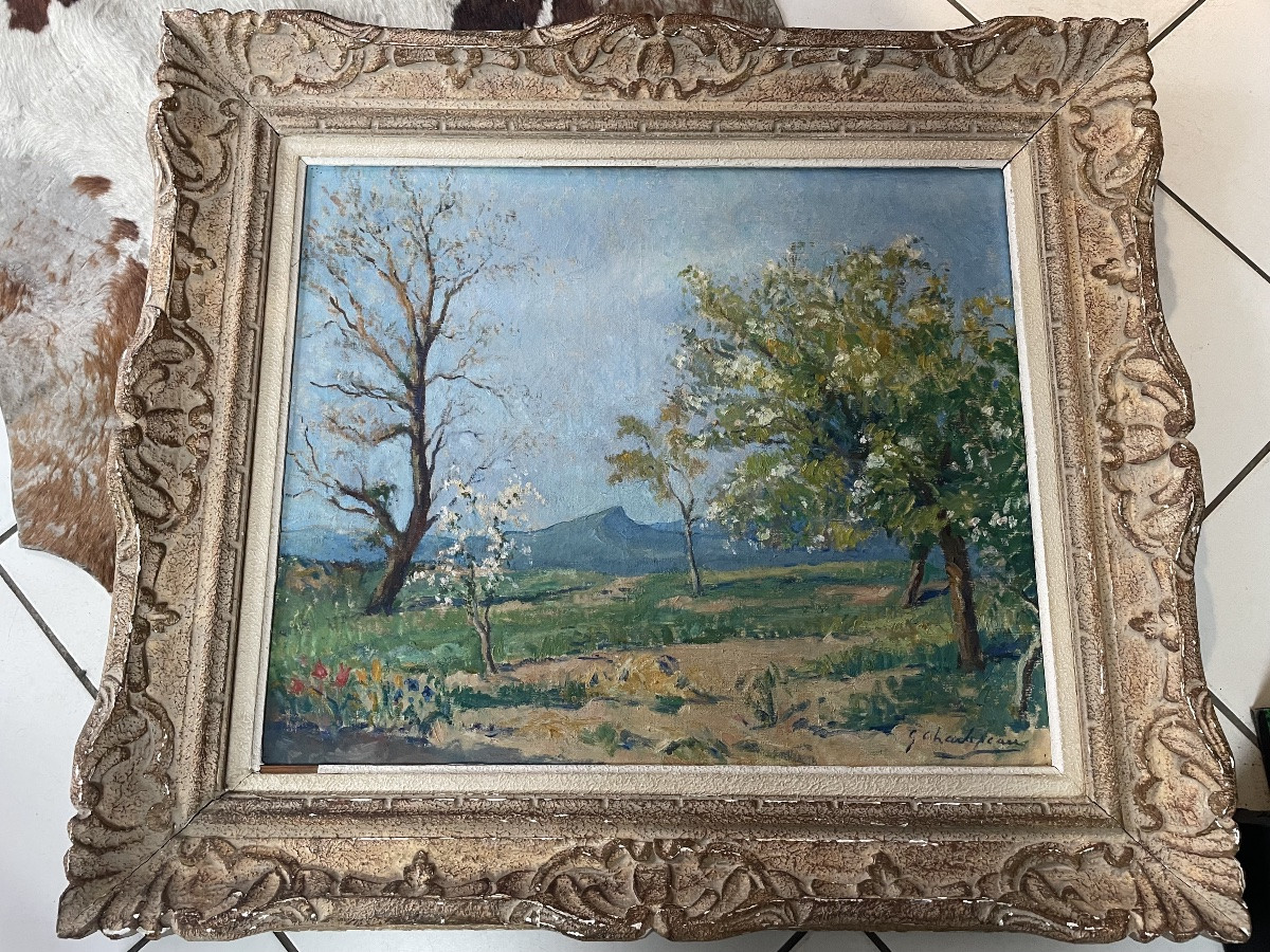 Paysage provençal au printemps de Charlopeau -photo-4