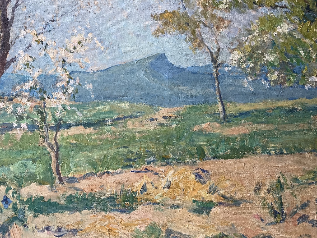 Provençal Landscape In Spring By Charlopeau 