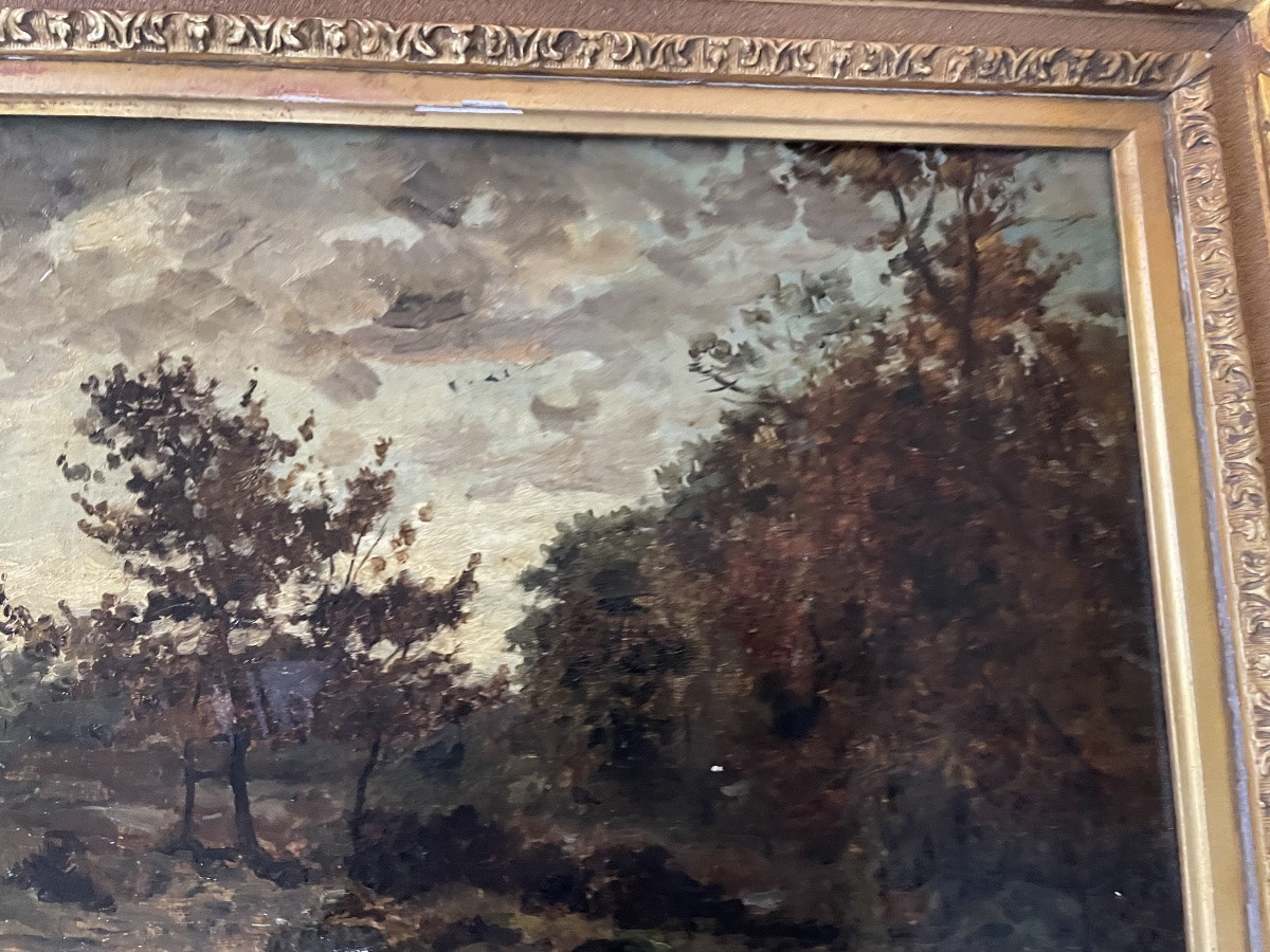 Forest Landscape By Léonce Chabry -photo-1