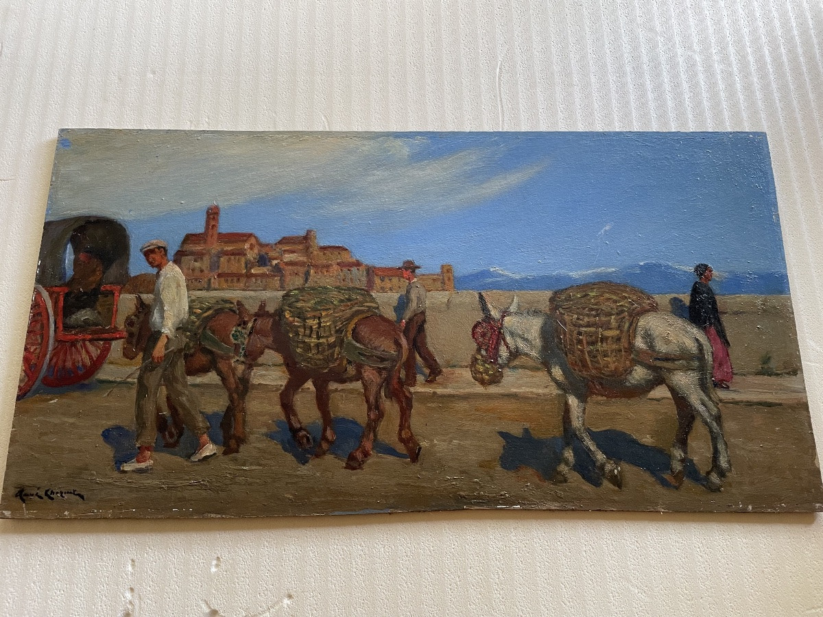 Les ânes de René Choquet -photo-2