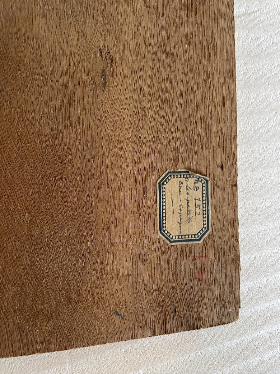 Les ânes de René Choquet -photo-3