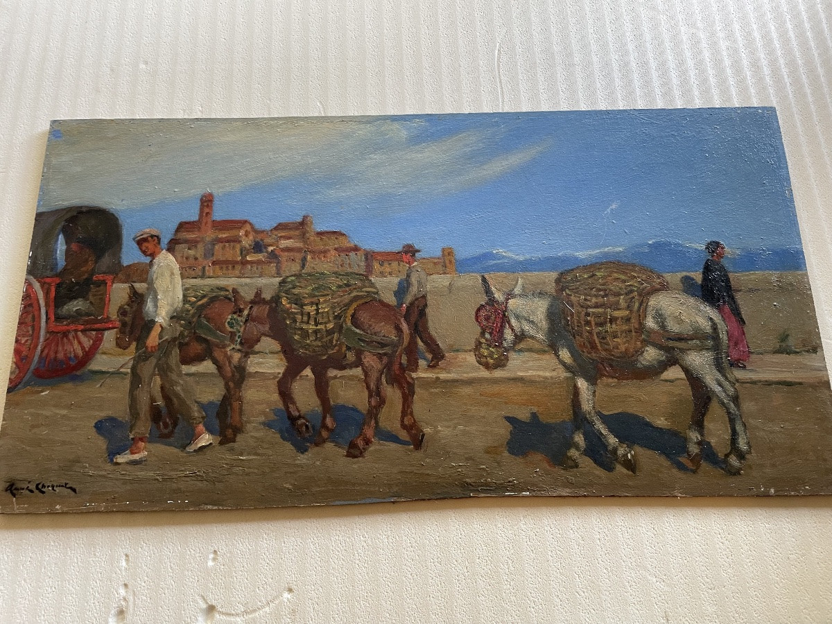 Les ânes de René Choquet -photo-4