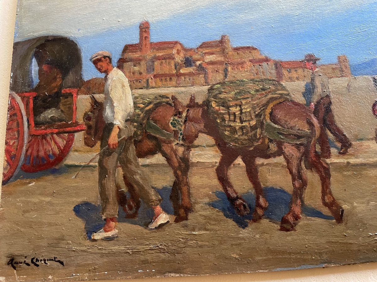 Les ânes de René Choquet -photo-5