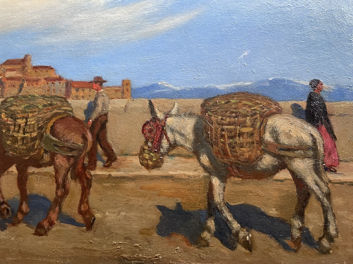 Les ânes de René Choquet -photo-6