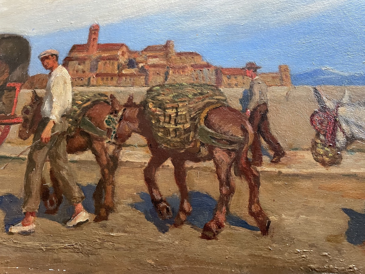 Les ânes de René Choquet -photo-8