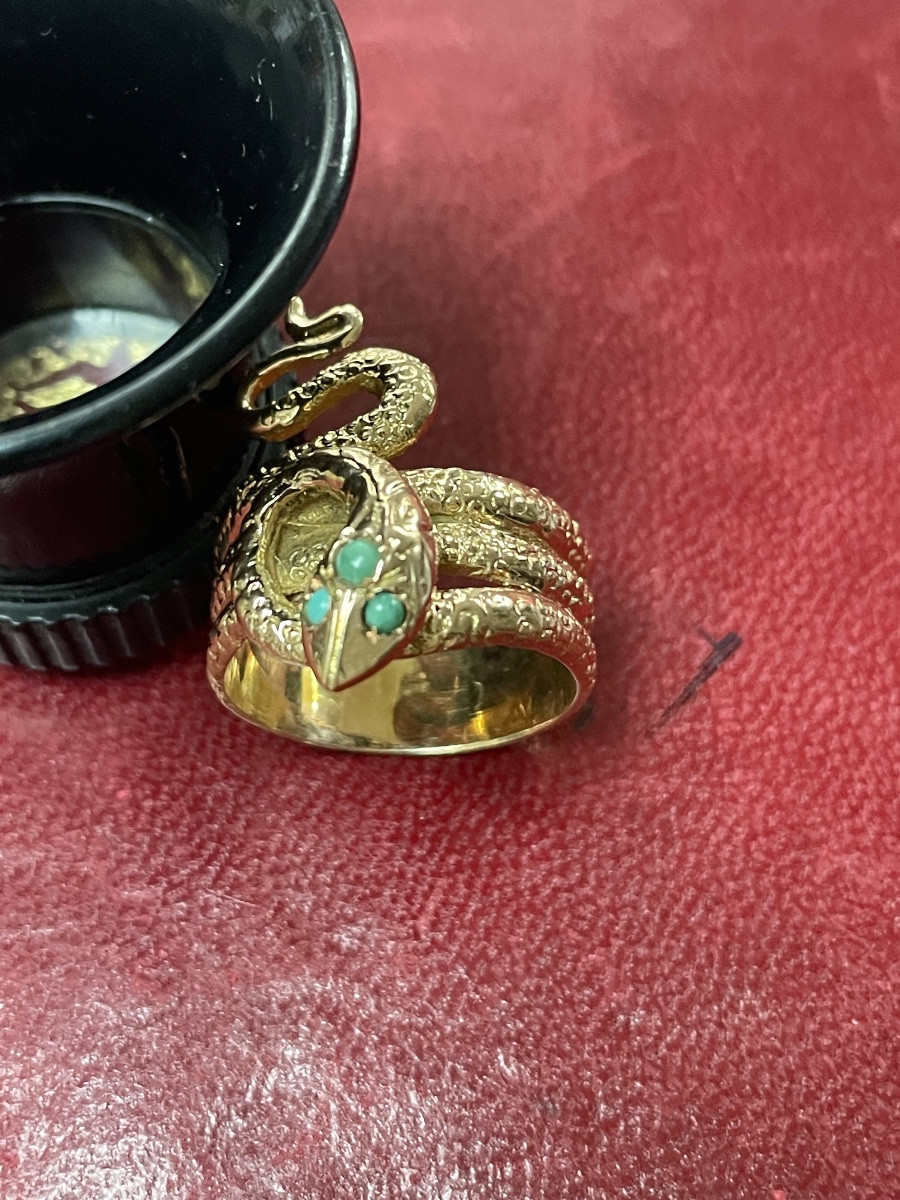 Gold And Turquoise Snake Ring