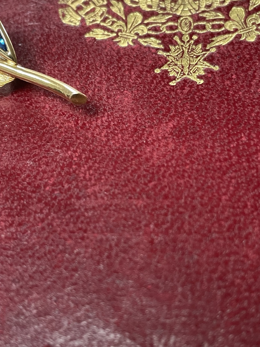 Broche feuille or et saphirs -photo-3