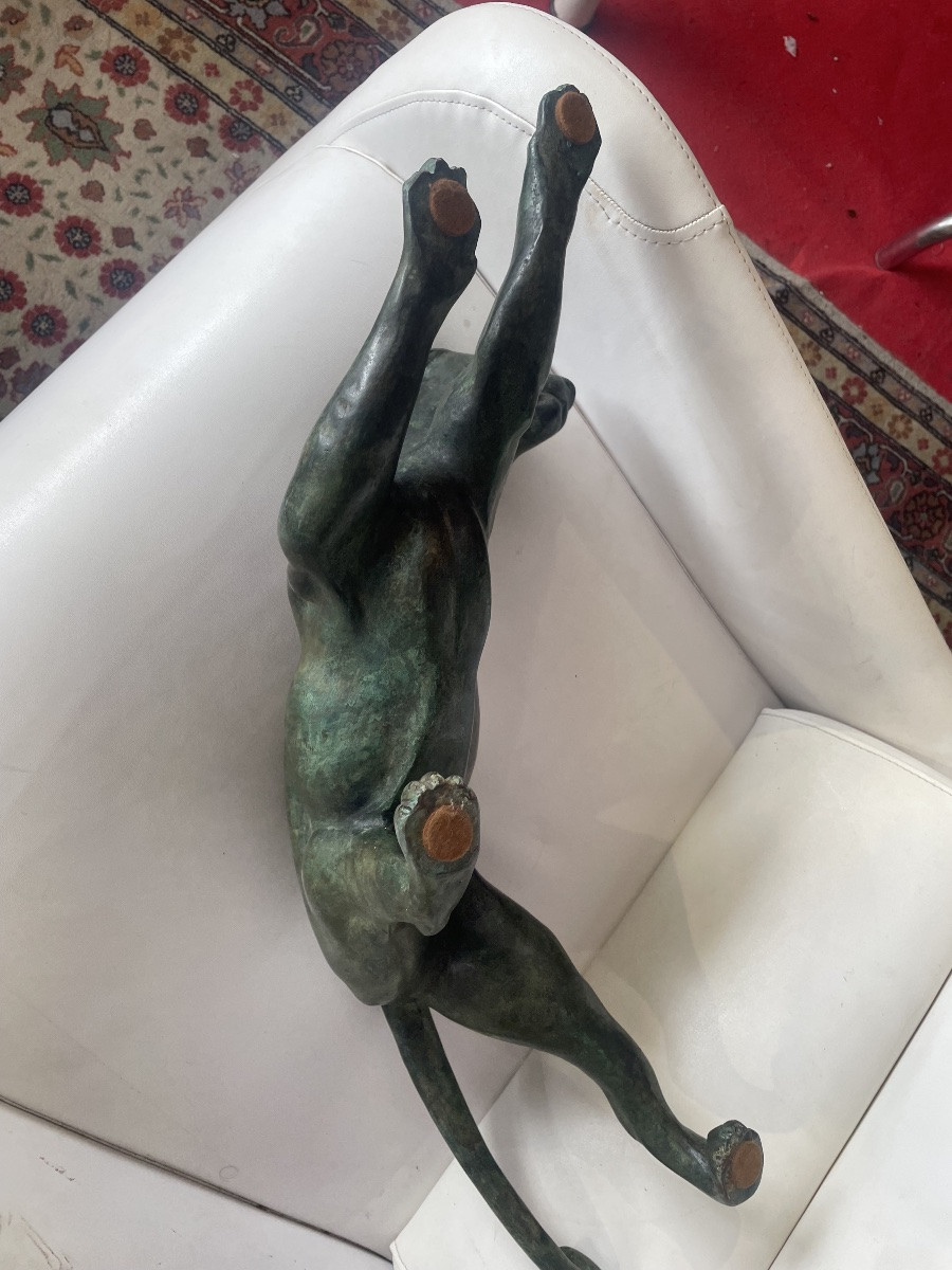 Bronze Panther-photo-5