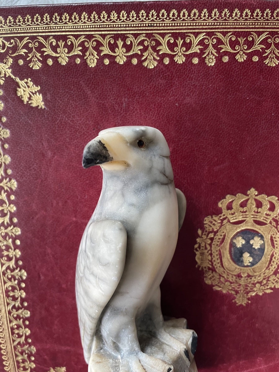 Falcon Marble 19th Century-photo-3