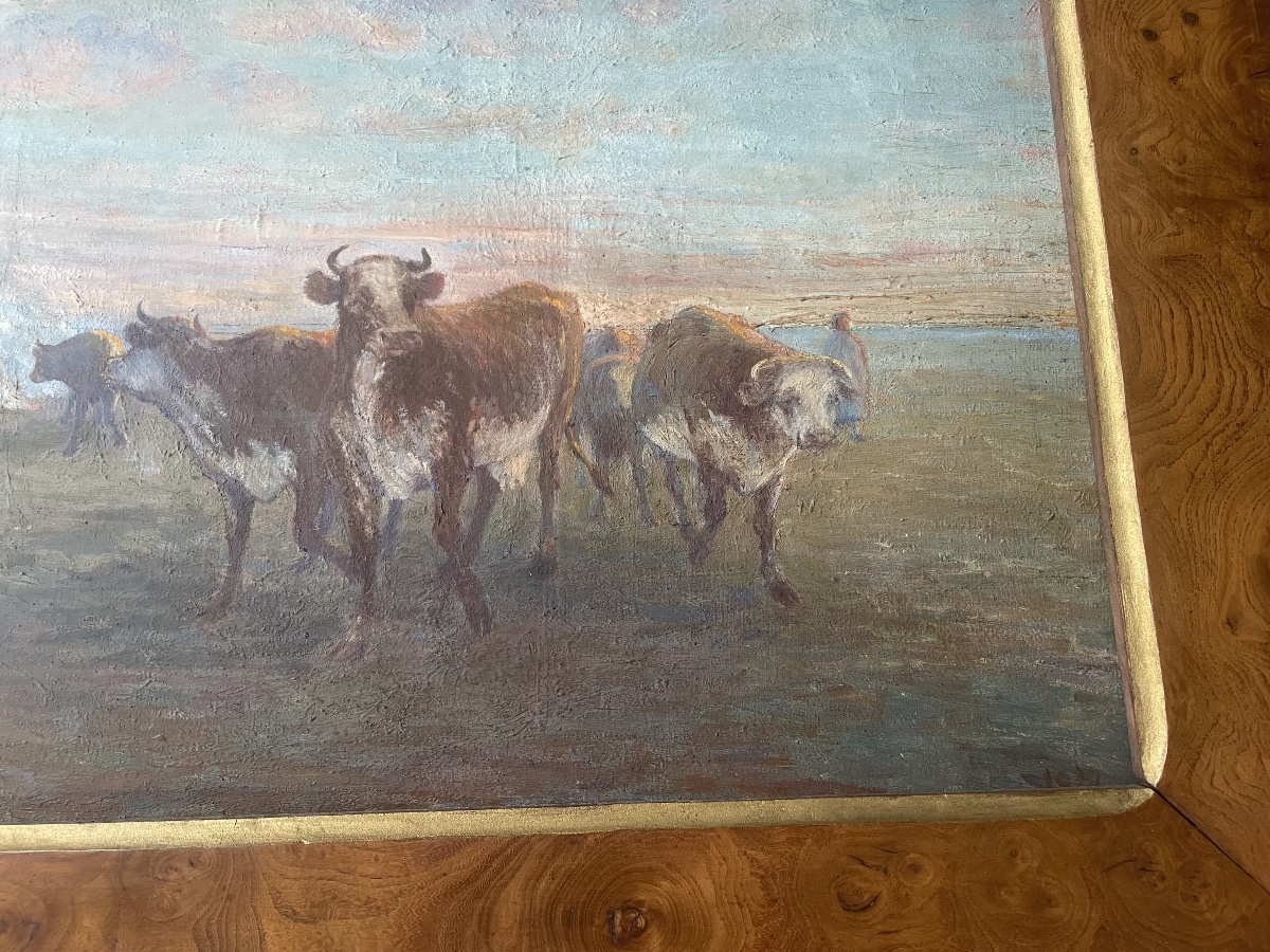 Cows In The Meadow-photo-3