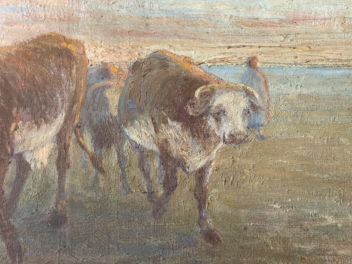 Cows In The Meadow-photo-4