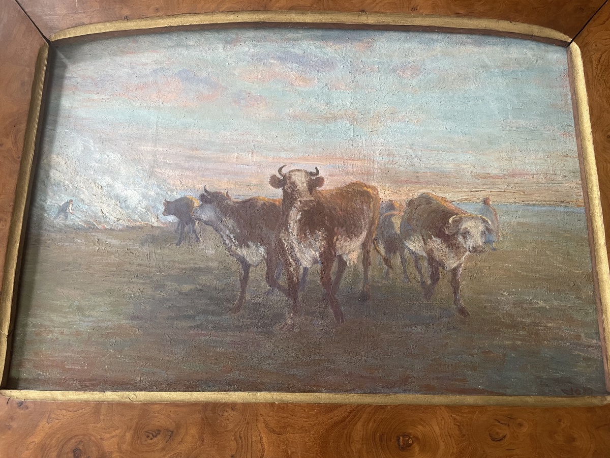 Cows In The Meadow-photo-1