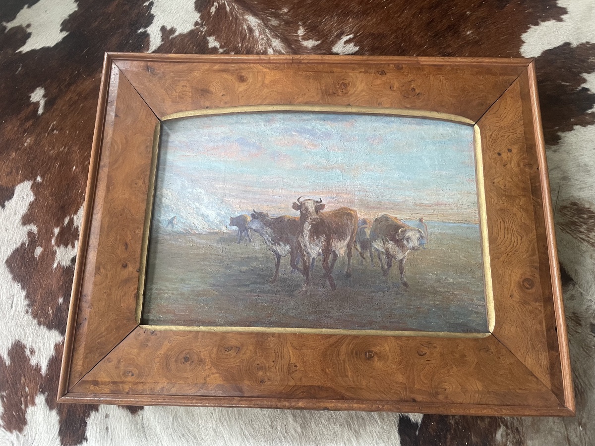 Cows In The Meadow-photo-2