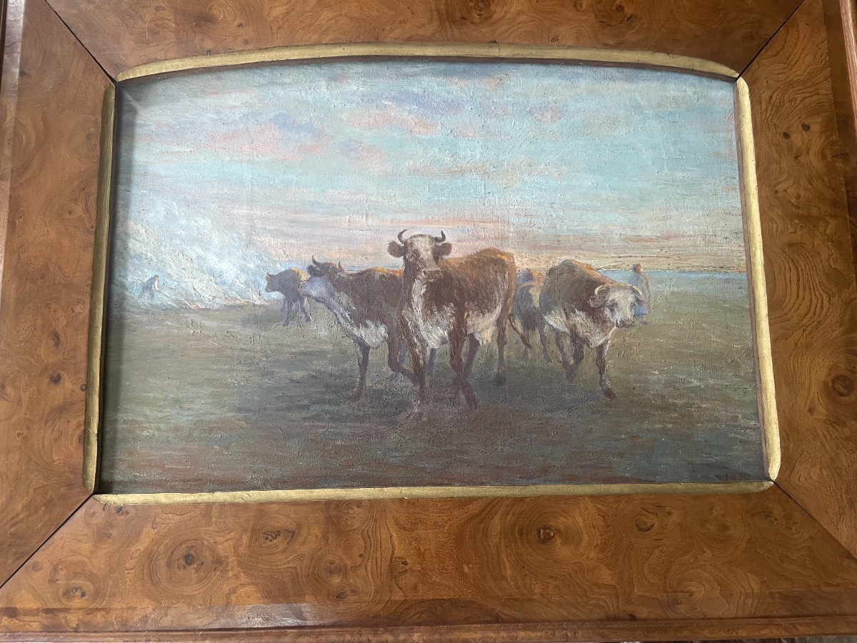 Cows In The Meadow-photo-4