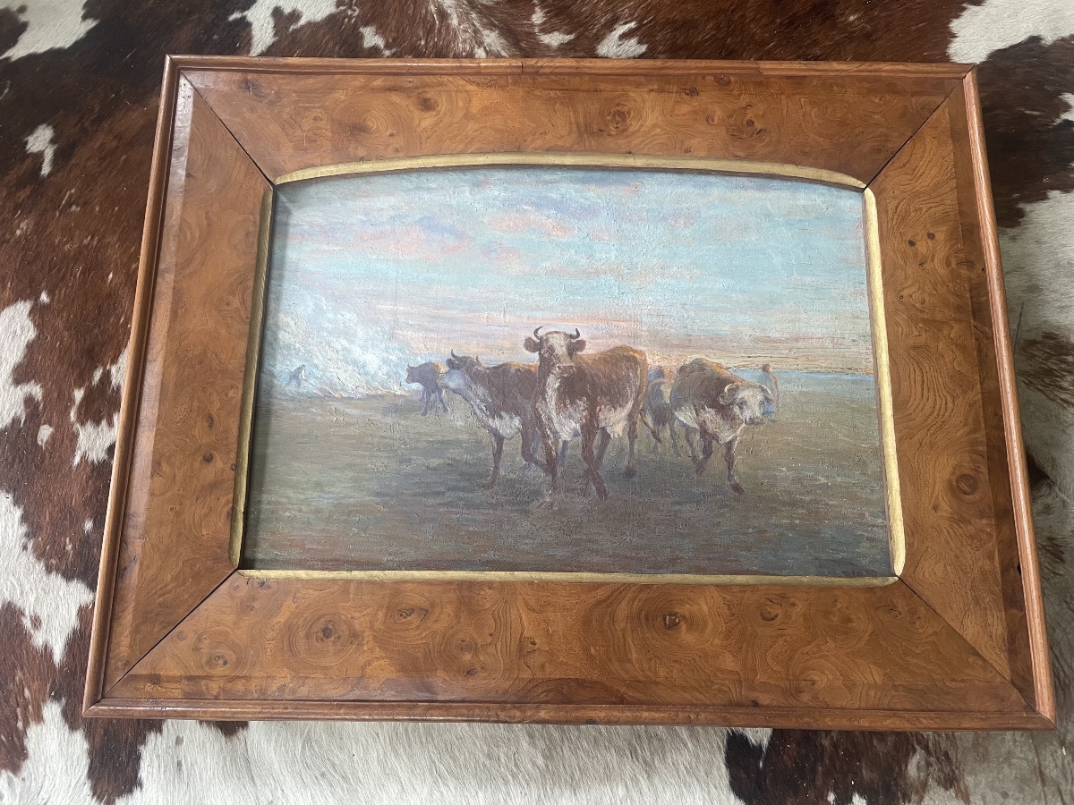 Cows In The Meadow-photo-6