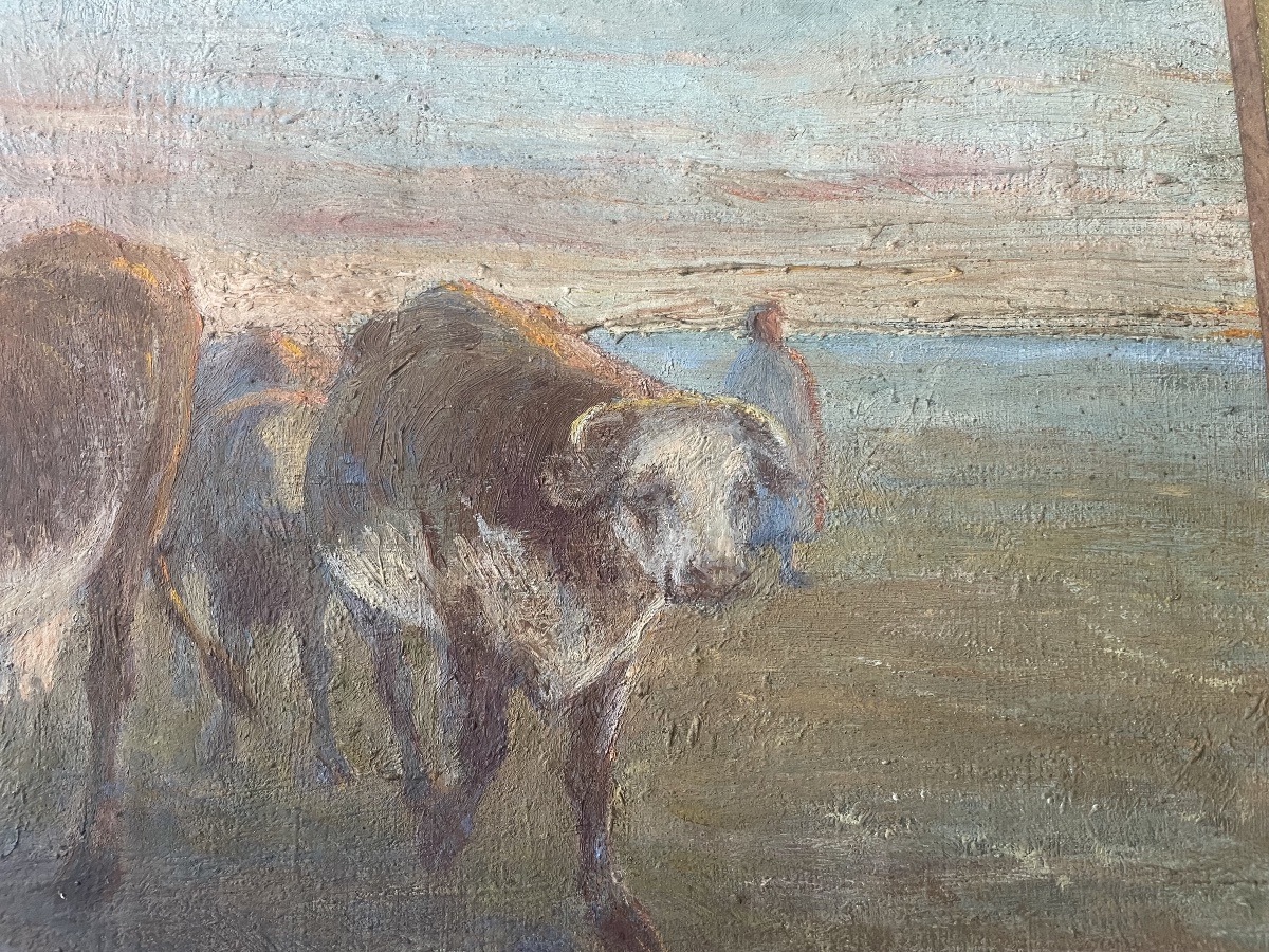 Cows In The Meadow