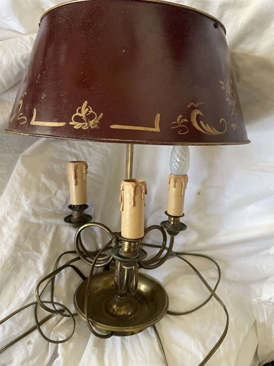 Lampe bouillotte aux corps de chasse -photo-2