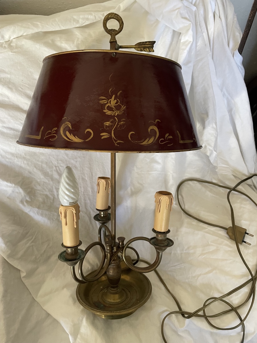 Lampe bouillotte aux corps de chasse -photo-1