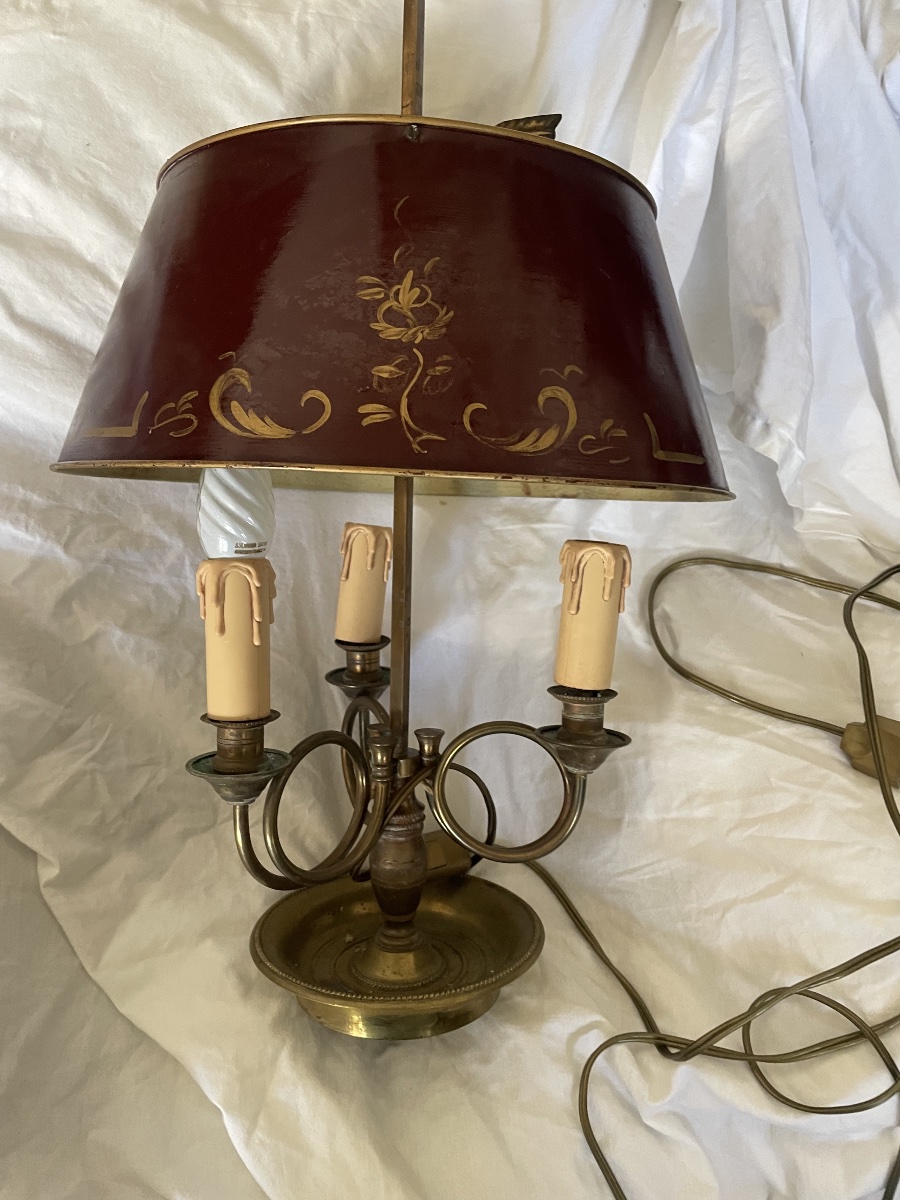 Lampe bouillotte aux corps de chasse -photo-2