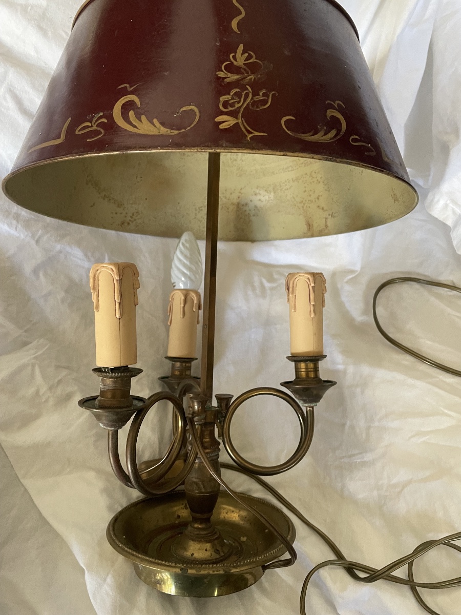 Lampe bouillotte aux corps de chasse -photo-3