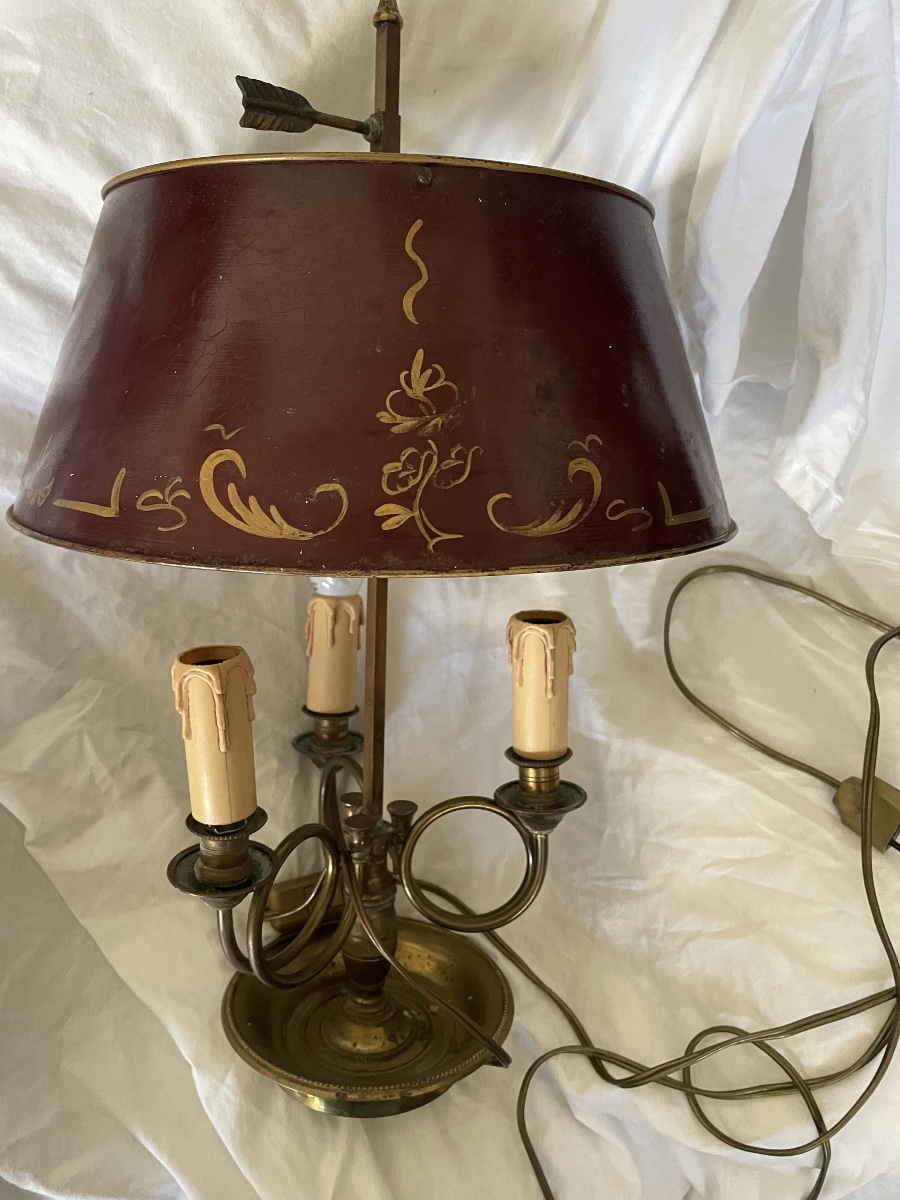 Lampe bouillotte aux corps de chasse -photo-4