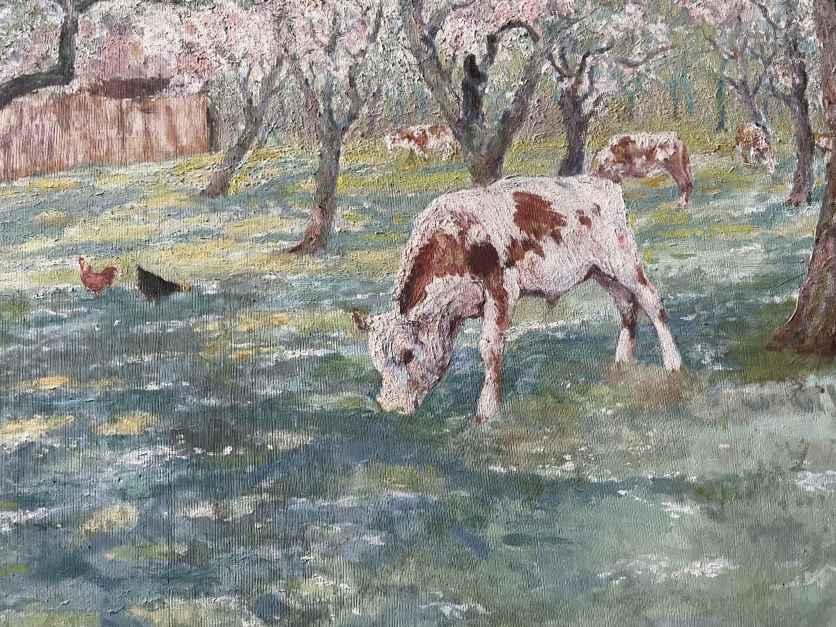 Vaches et veaux au pâturage 