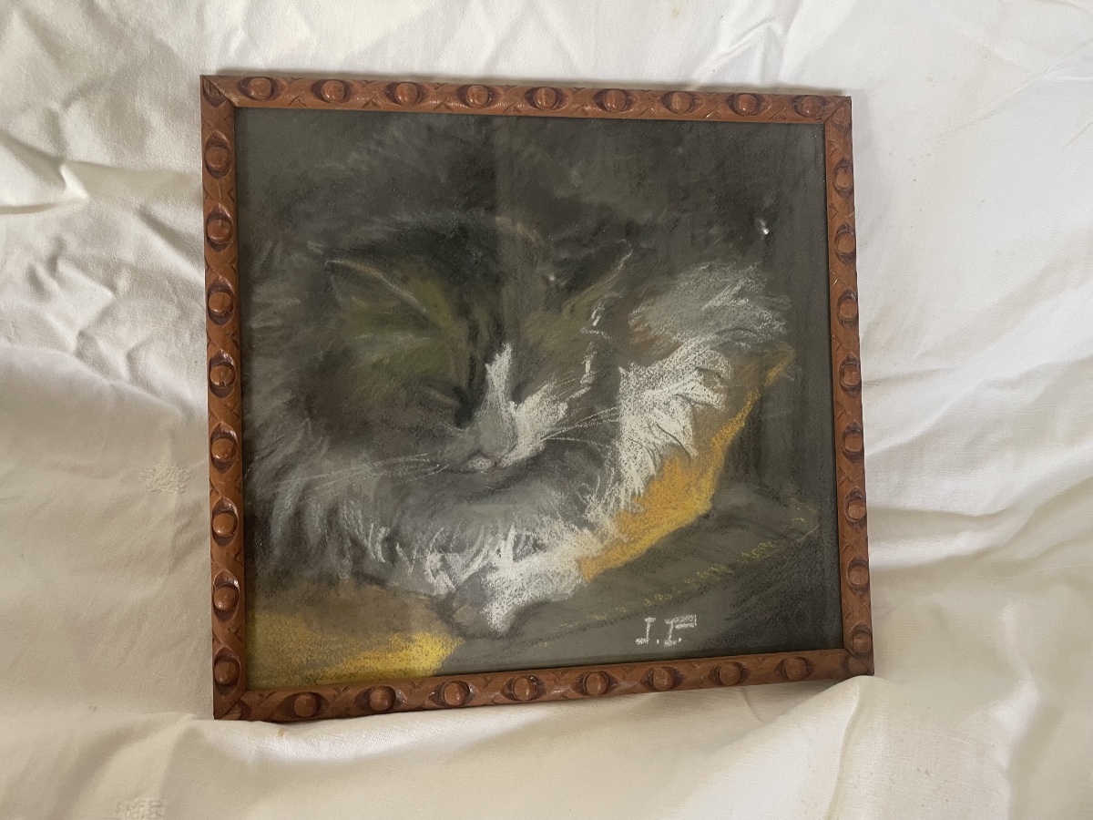 Pastel The Cat At Rest -photo-4